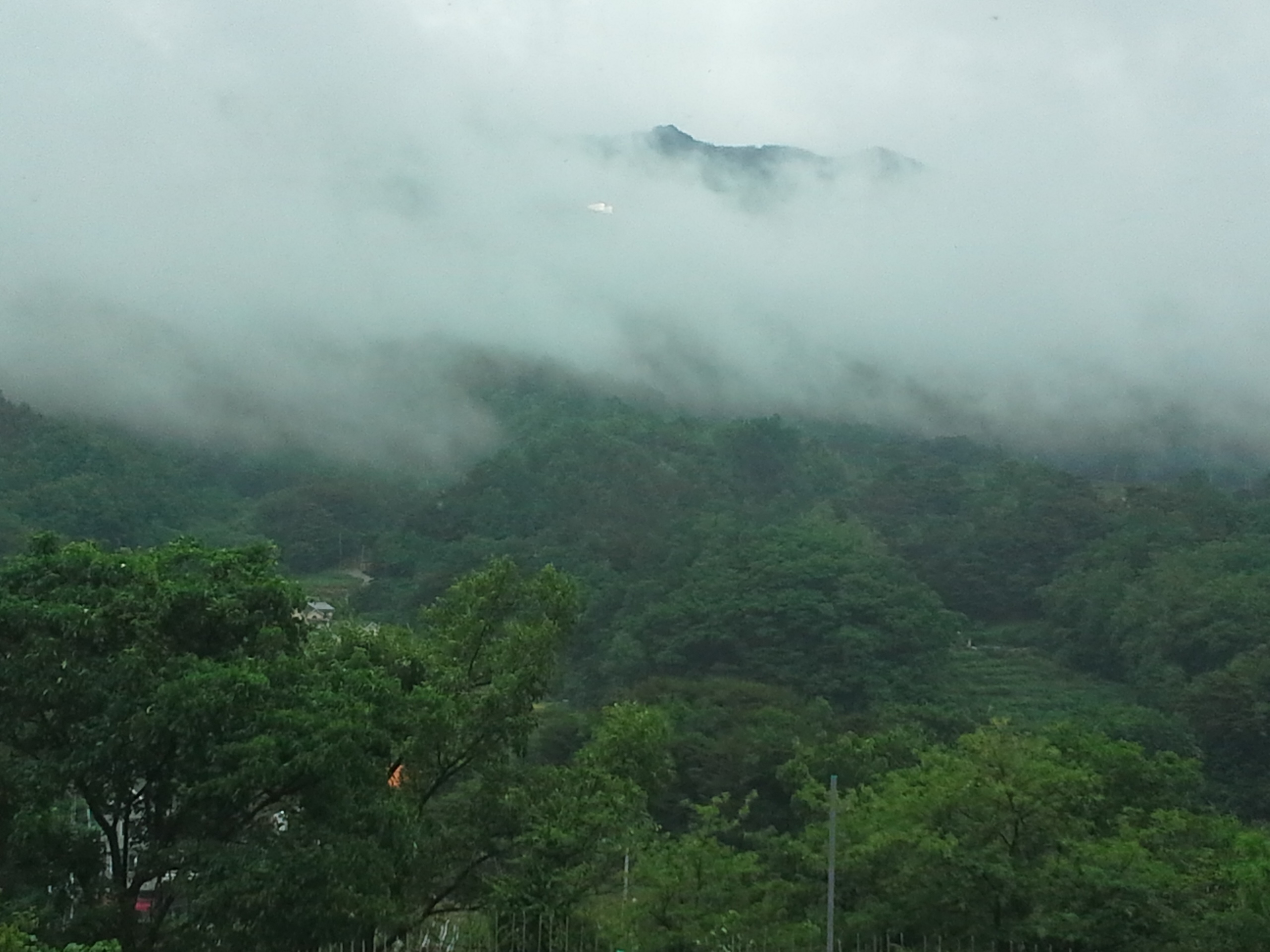 20130528_163001.jpg